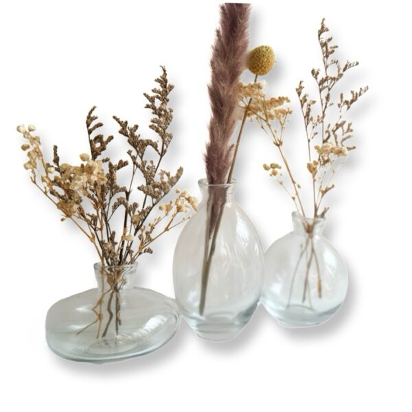 Ronari Home-מארז שלושה אגרטלים מעוצבים בפרחים צבע שקוף