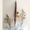 Housedeco-מארז שלושה אגרטלים מעוצבים בפרחים צבע שקוף