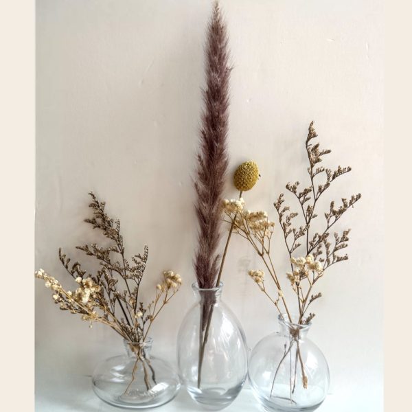 Housedeco-מארז שלושה אגרטלים מעוצבים בפרחים צבע שקוף