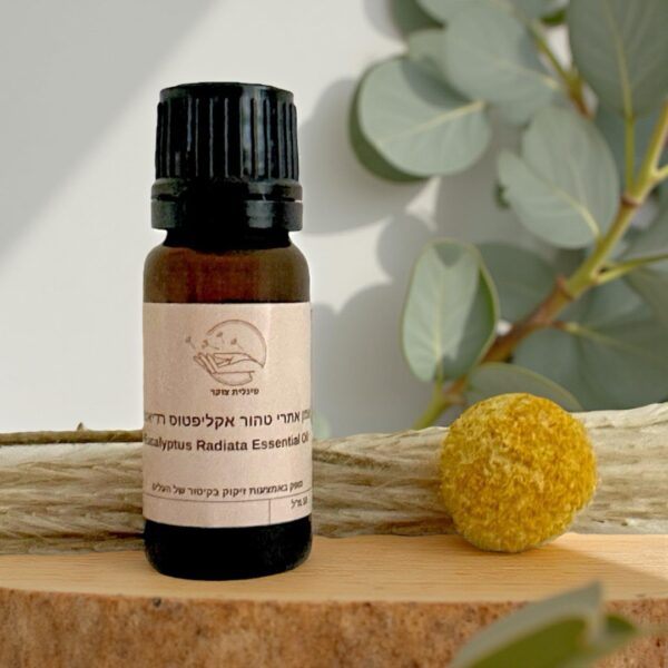 Eucalyptus Radiata Essential oil | שמן אתרי טהור אקליפטוס רדיאטה