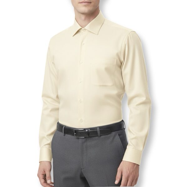 Van Heusen | חולצה מכופתרת בז׳ ואן האוזן