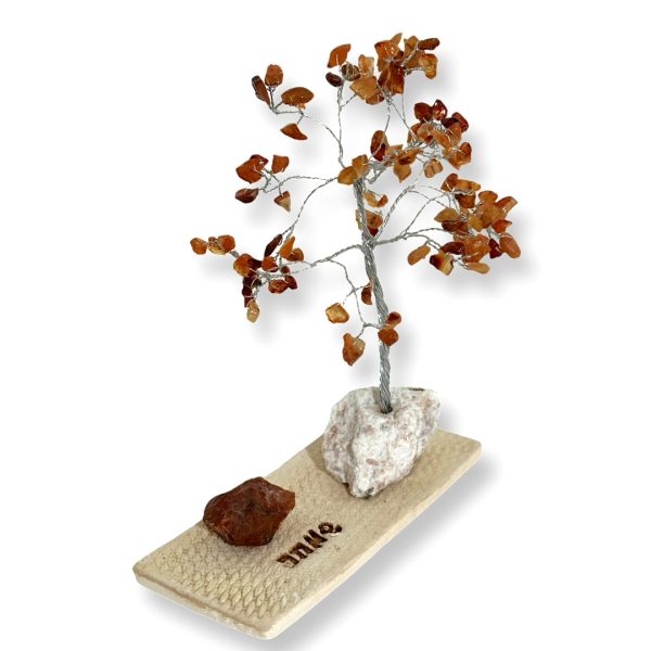 Cristal-מארז עץ אבני קריסטל ואבן גולמי קרנליאן לשמחה,תקווה ואנרגיה