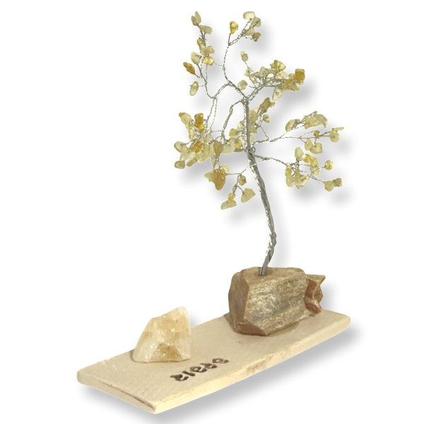 Cristal-מארז עץ אבני קריסטל ואבן גולמי סיטרין לשפע ושגשוג