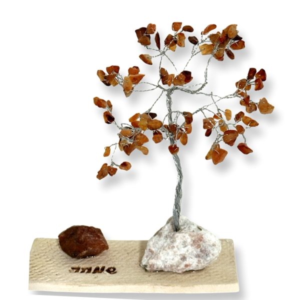 Cristal-מארז עץ אבני קריסטל ואבן גולמי קרנליאן לשמחה,תקווה ואנרגיה