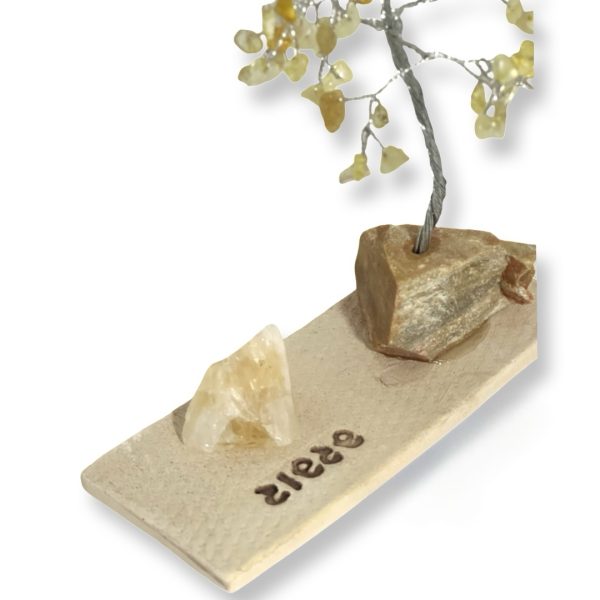 Cristal-מארז עץ אבני קריסטל ואבן גולמי סיטרין לשפע ושגשוג