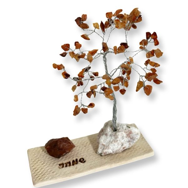 Cristal-מארז עץ אבני קריסטל ואבן גולמי קרנליאן לשמחה,תקווה ואנרגיה