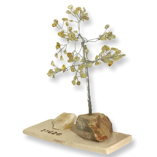 Cristal-מארז עץ אבני קריסטל ואבן גולמי סיטרין לשפע ושגשוג