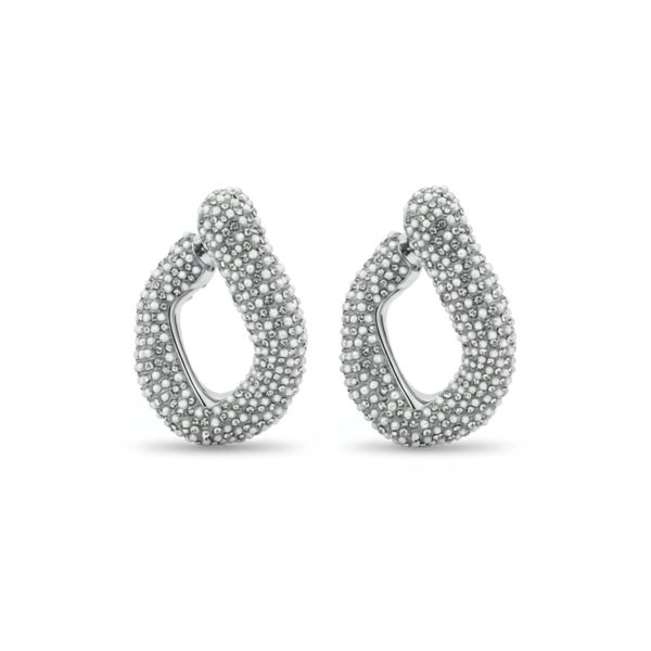 Joyas -עגילים מרשימים עגילים מרשימים צבע כסף ג'ויה