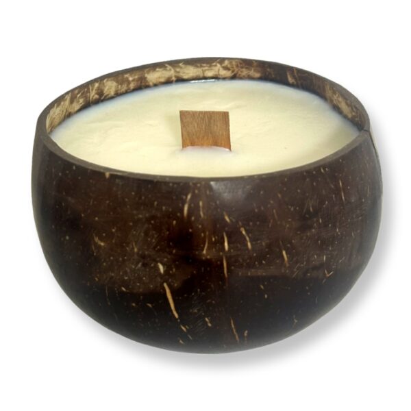 Boo-Bee-נר שעוות סויה וציטרונלה טבעי בקוקוס